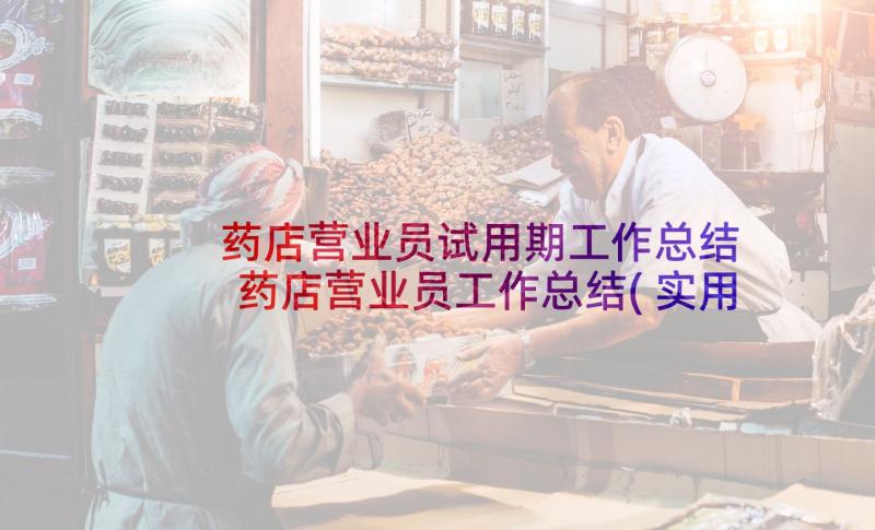 药店营业员试用期工作总结 药店营业员工作总结(实用5篇)