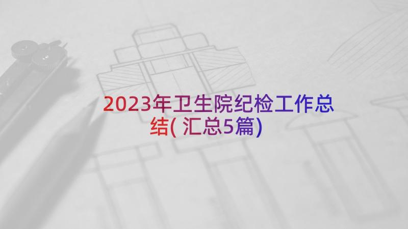 2023年卫生院纪检工作总结(汇总5篇)