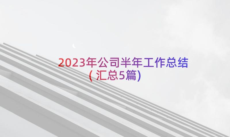 2023年公司半年工作总结(汇总5篇)