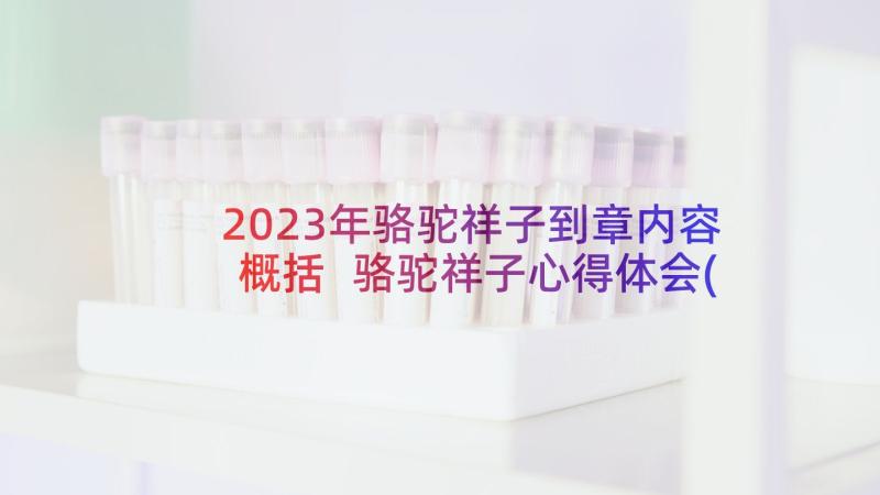 2023年骆驼祥子到章内容概括 骆驼祥子心得体会(实用5篇)