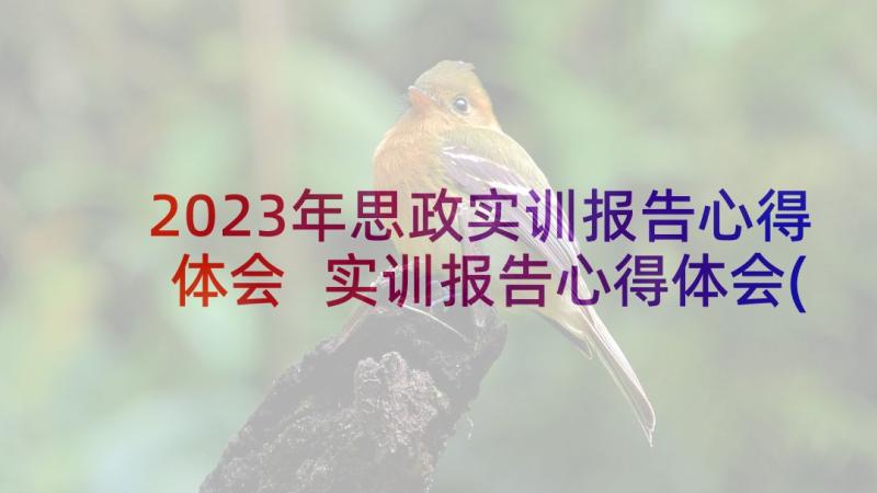 2023年思政实训报告心得体会 实训报告心得体会(模板8篇)