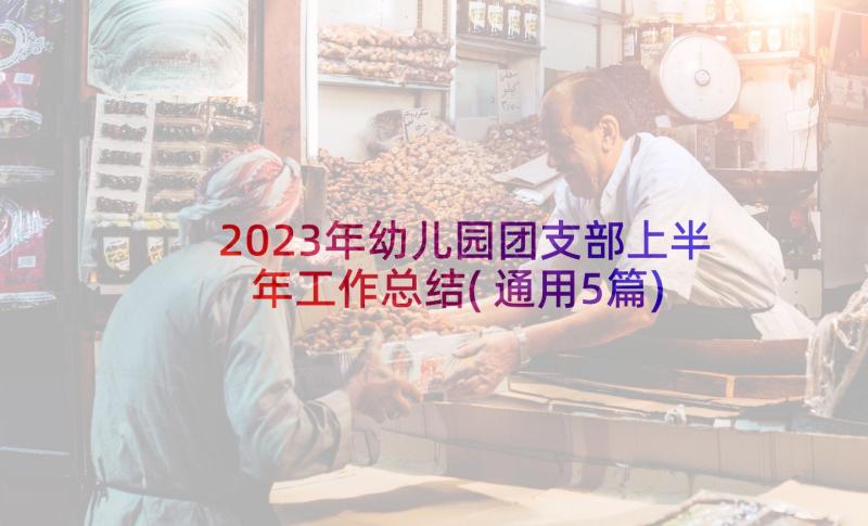 2023年幼儿园团支部上半年工作总结(通用5篇)