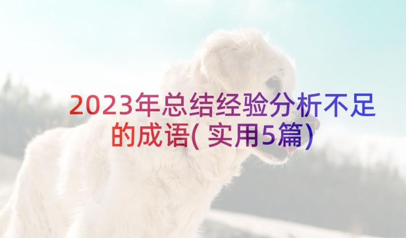 2023年总结经验分析不足的成语(实用5篇)