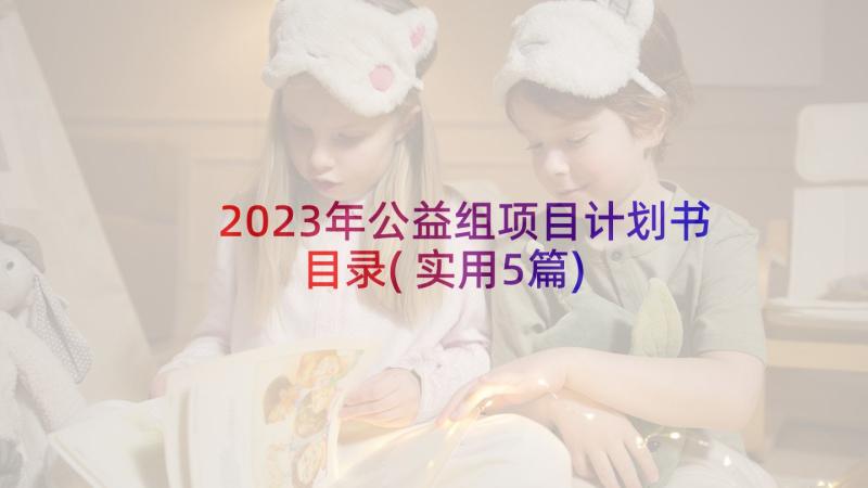 2023年公益组项目计划书目录(实用5篇)