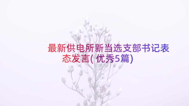 最新供电所新当选支部书记表态发言(优秀5篇)