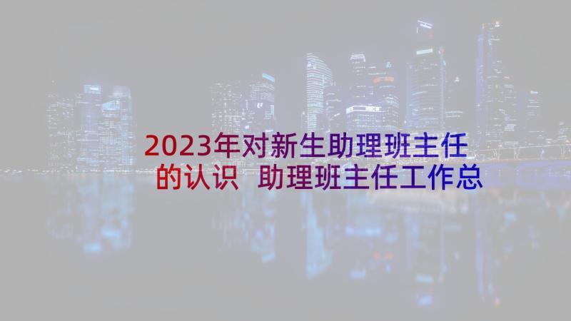 2023年对新生助理班主任的认识 助理班主任工作总结(优质9篇)