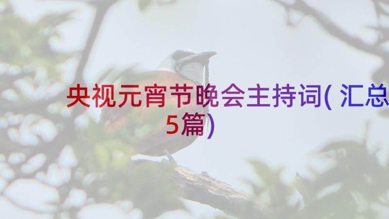 央视元宵节晚会主持词(汇总5篇)