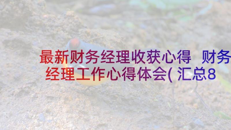 最新财务经理收获心得 财务经理工作心得体会(汇总8篇)