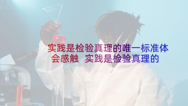 实践是检验真理的唯一标准体会感触 实践是检验真理的唯一标准(通用5篇)