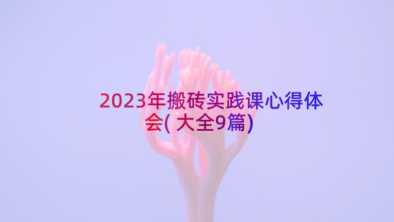 2023年搬砖实践课心得体会(大全9篇)