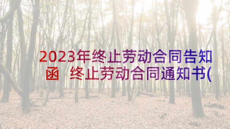 2023年终止劳动合同告知函 终止劳动合同通知书(优秀18篇)