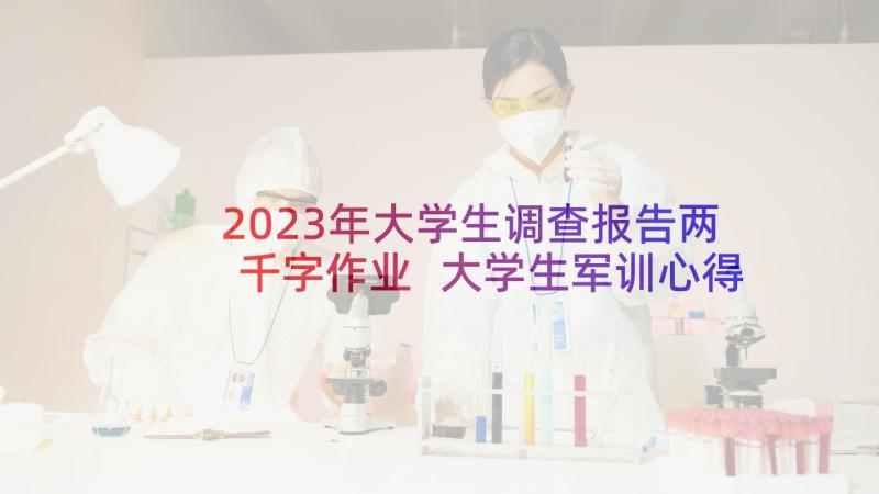 2023年大学生调查报告两千字作业 大学生军训心得体会两千字(优秀8篇)