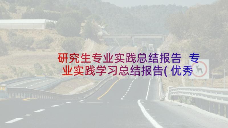 研究生专业实践总结报告 专业实践学习总结报告(优秀16篇)