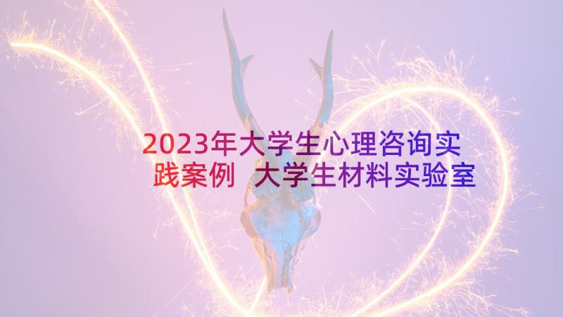 2023年大学生心理咨询实践案例 大学生材料实验室心得体会(优质20篇)