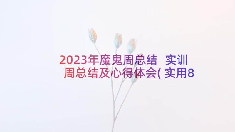 2023年魔鬼周总结 实训周总结及心得体会(实用8篇)