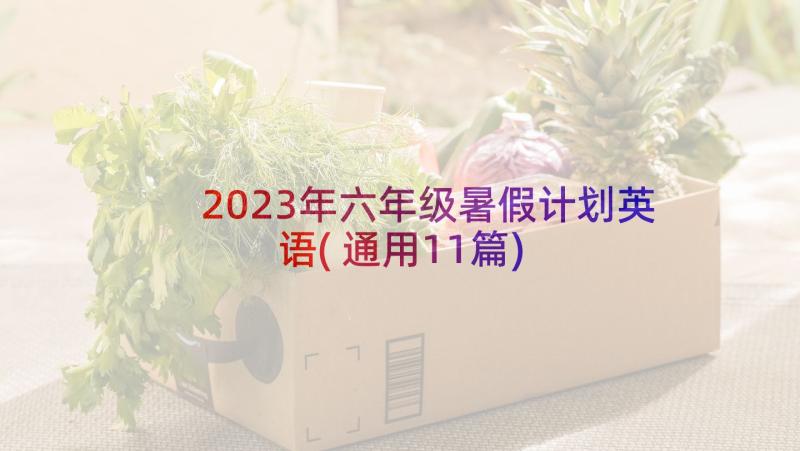 2023年六年级暑假计划英语(通用11篇)