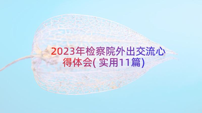 2023年检察院外出交流心得体会(实用11篇)