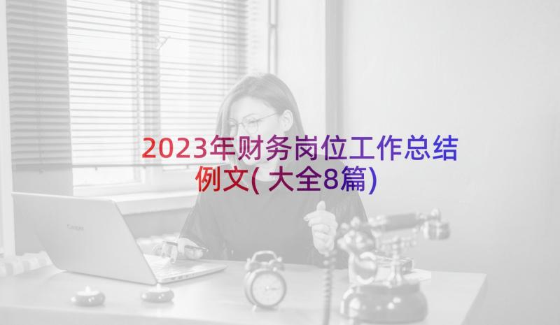 2023年财务岗位工作总结例文(大全8篇)