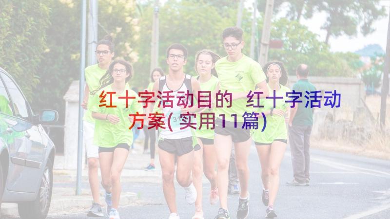 红十字活动目的 红十字活动方案(实用11篇)