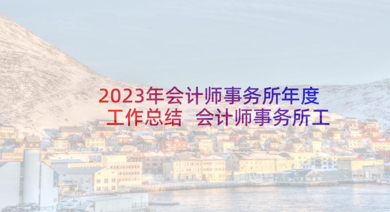 2023年会计师事务所年度工作总结 会计师事务所工作经验总结(优秀8篇)