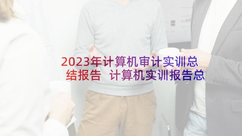 2023年计算机审计实训总结报告 计算机实训报告总结(优秀12篇)