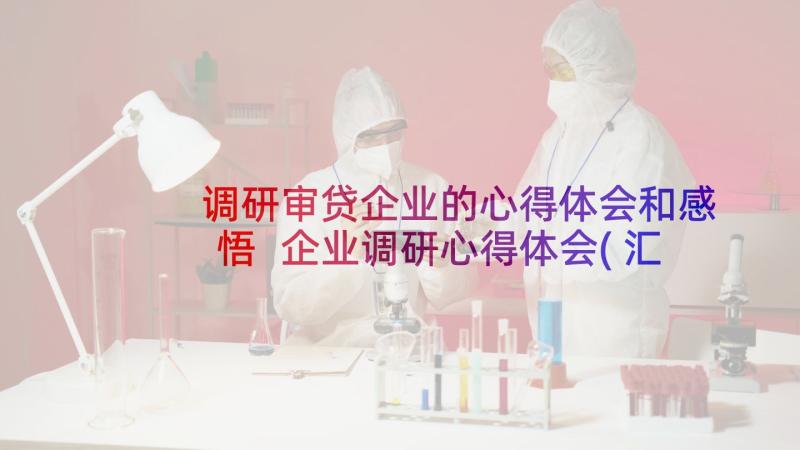 调研审贷企业的心得体会和感悟 企业调研心得体会(汇总8篇)