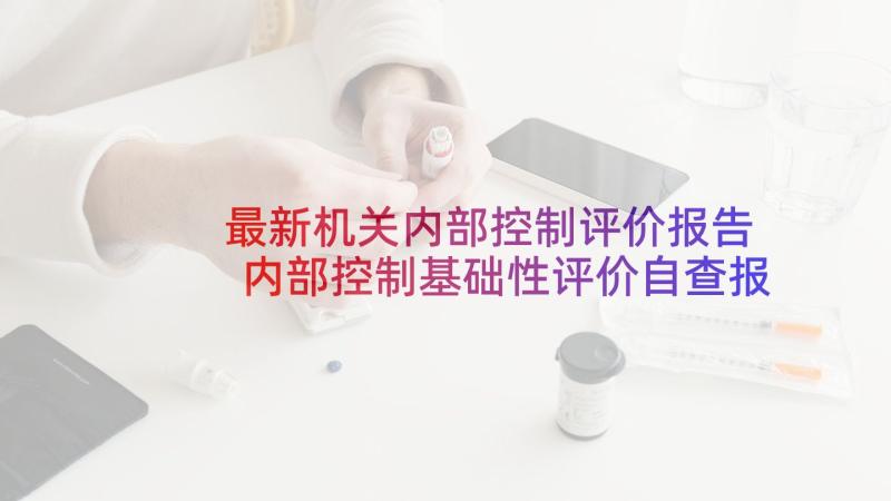 最新机关内部控制评价报告 内部控制基础性评价自查报告(大全11篇)