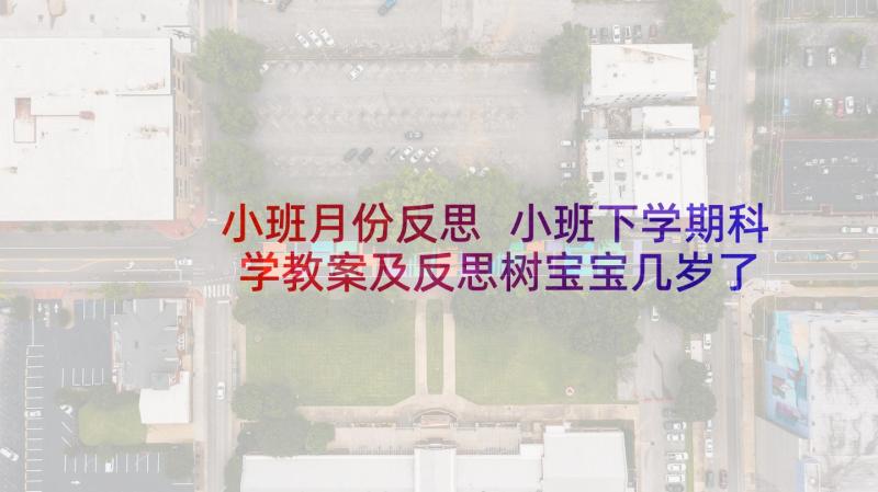 小班月份反思 小班下学期科学教案及反思树宝宝几岁了(通用19篇)