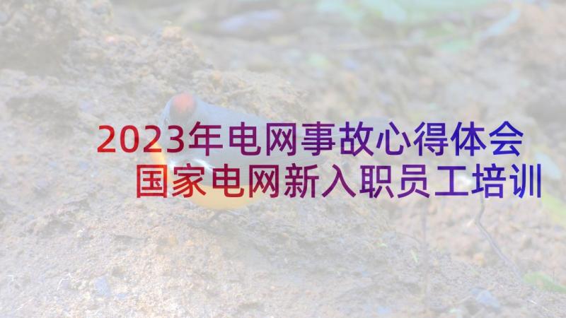 2023年电网事故心得体会 国家电网新入职员工培训心得体会(模板8篇)