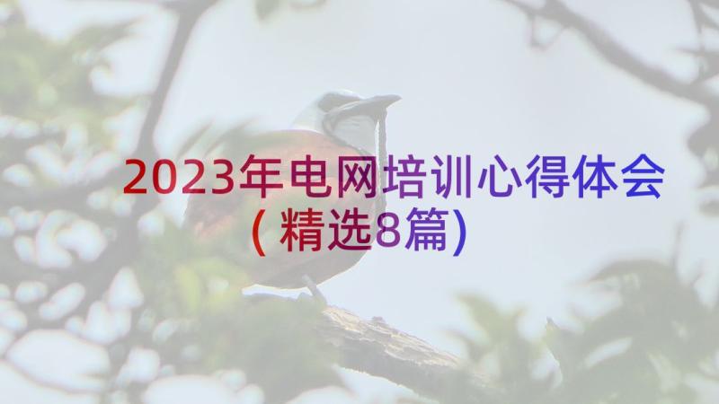 2023年电网培训心得体会(精选8篇)