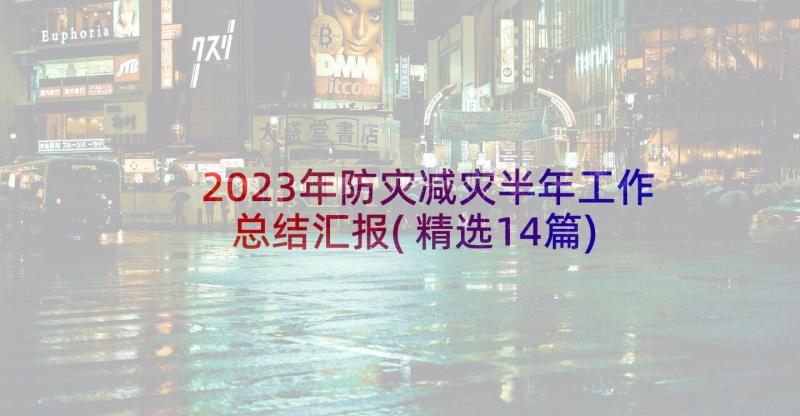 2023年防灾减灾半年工作总结汇报(精选14篇)