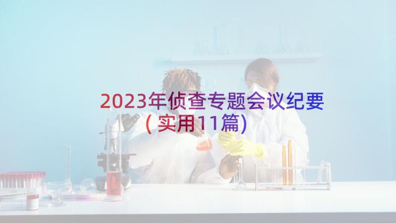 2023年侦查专题会议纪要(实用11篇)