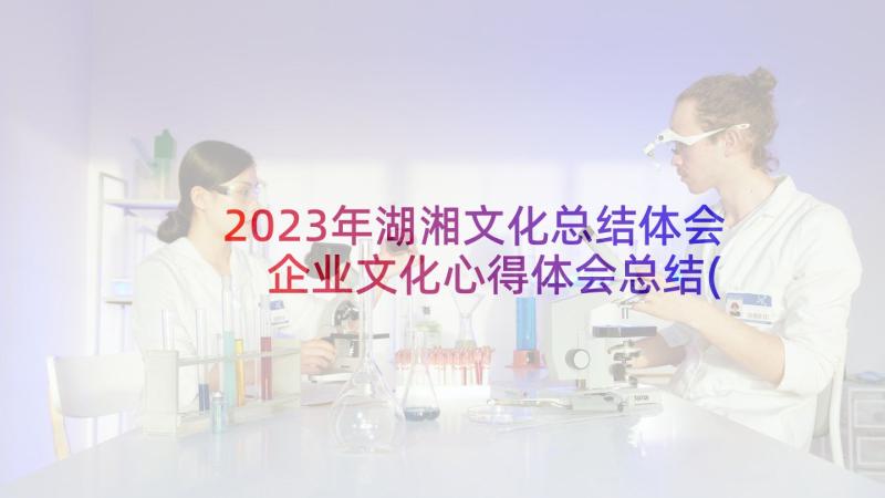 2023年湖湘文化总结体会 企业文化心得体会总结(汇总19篇)