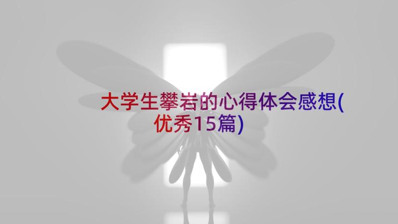 大学生攀岩的心得体会感想(优秀15篇)