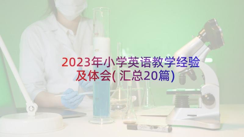 2023年小学英语教学经验及体会(汇总20篇)