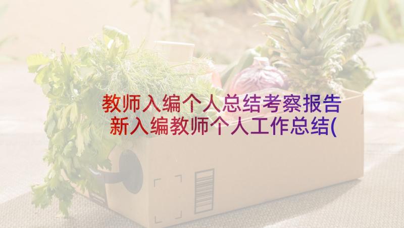 教师入编个人总结考察报告 新入编教师个人工作总结(精选8篇)