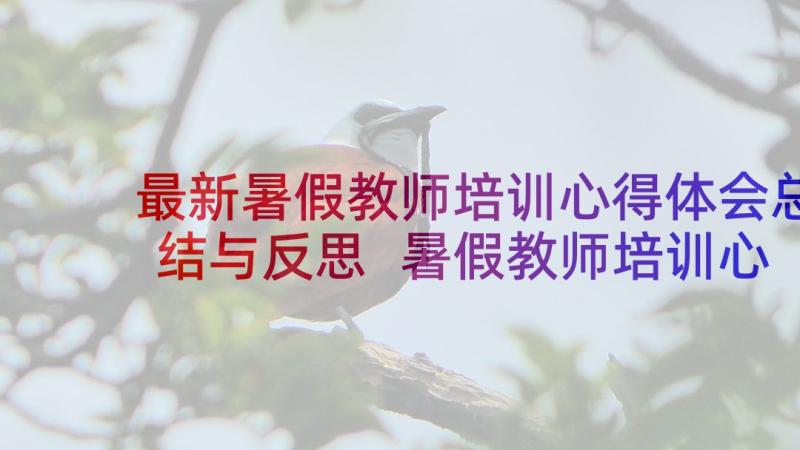 最新暑假教师培训心得体会总结与反思 暑假教师培训心得体会(通用12篇)