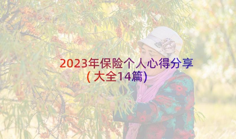 2023年保险个人心得分享(大全14篇)