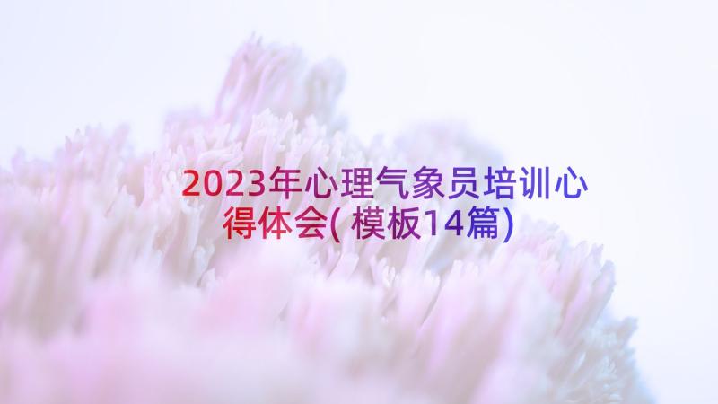 2023年心理气象员培训心得体会(模板14篇)