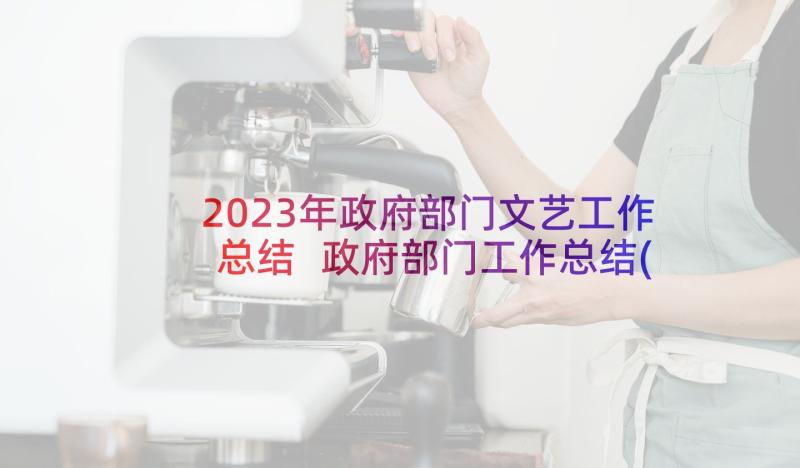 2023年政府部门文艺工作总结 政府部门工作总结(通用8篇)