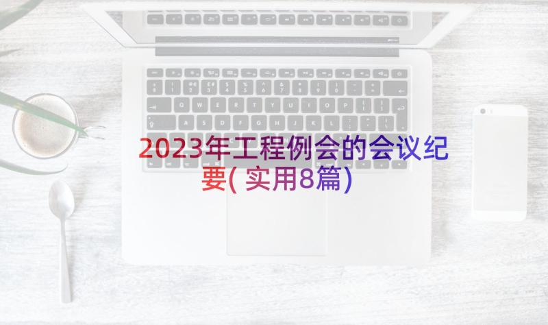 2023年工程例会的会议纪要(实用8篇)