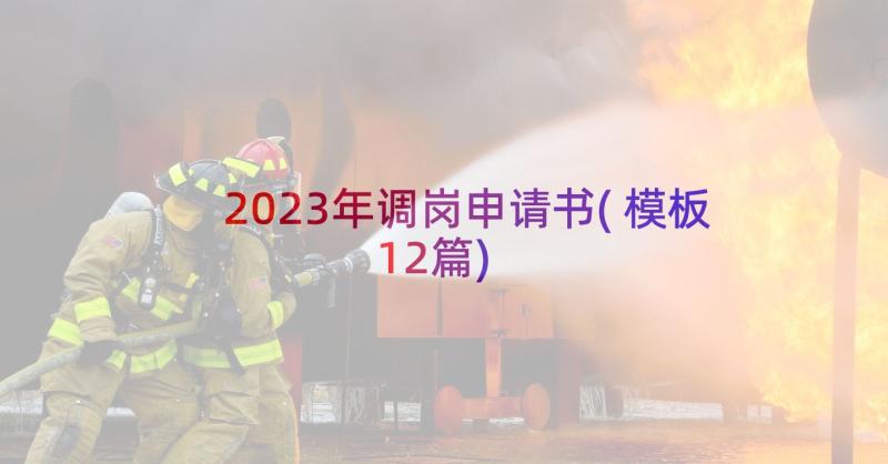 2023年调岗申请书(模板12篇)