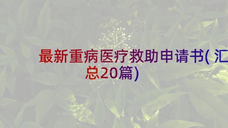 最新重病医疗救助申请书(汇总20篇)