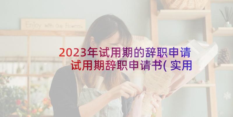 2023年试用期的辞职申请 试用期辞职申请书(实用10篇)