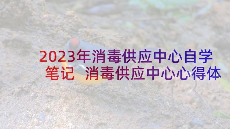 2023年消毒供应中心自学笔记 消毒供应中心心得体会(优秀8篇)