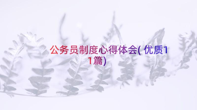 公务员制度心得体会(优质11篇)