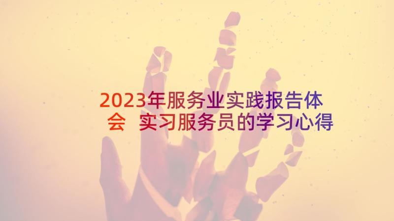 2023年服务业实践报告体会 实习服务员的学习心得体会(优质9篇)