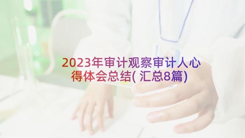 2023年审计观察审计人心得体会总结(汇总8篇)