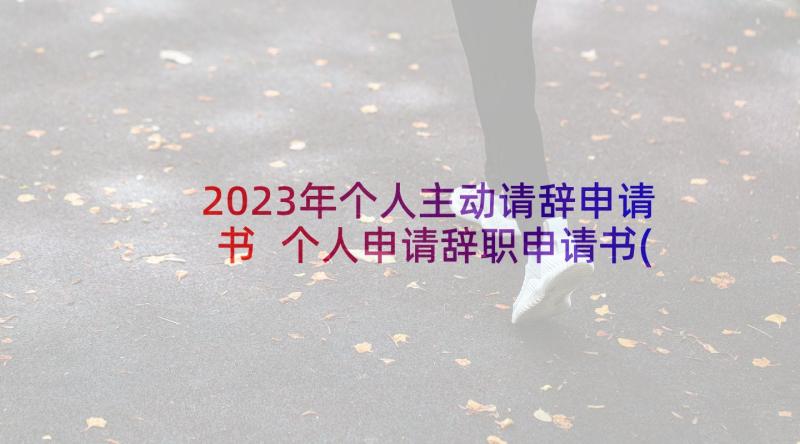 2023年个人主动请辞申请书 个人申请辞职申请书(精选16篇)