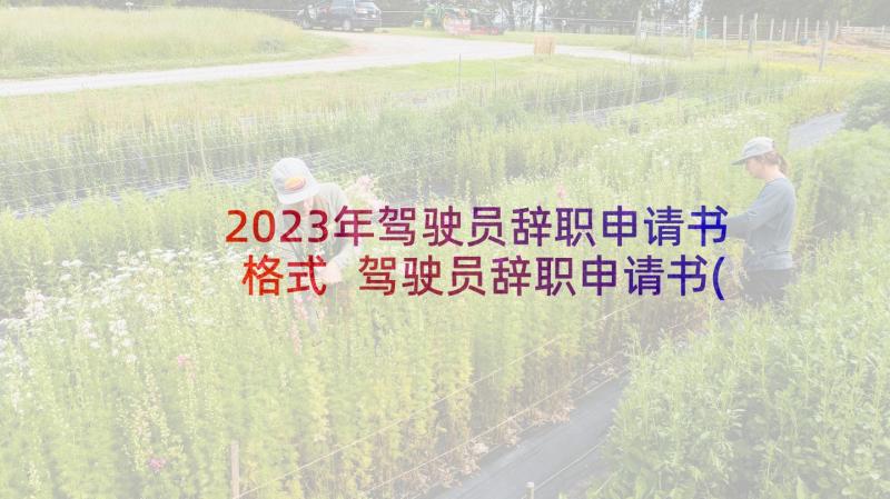 2023年驾驶员辞职申请书格式 驾驶员辞职申请书(大全10篇)